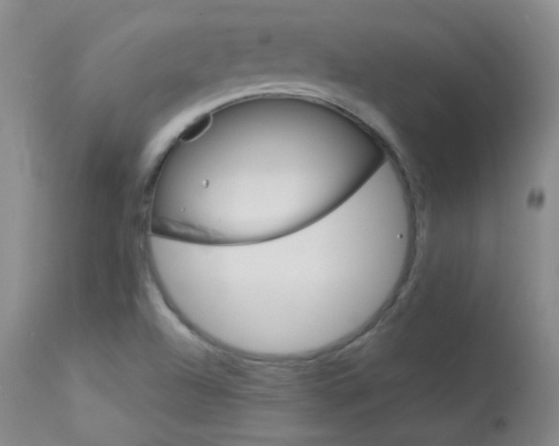 X0000114141504200910081014