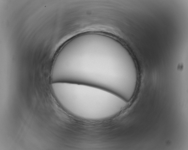 X0000114141505200910081014