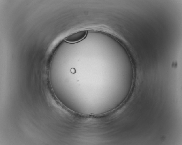 X0000114141506200910081014