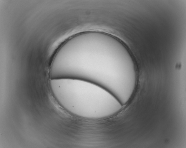 X0000114141507200910081014