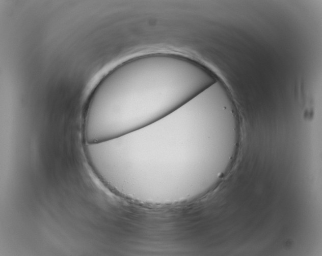X0000114141508200910081014