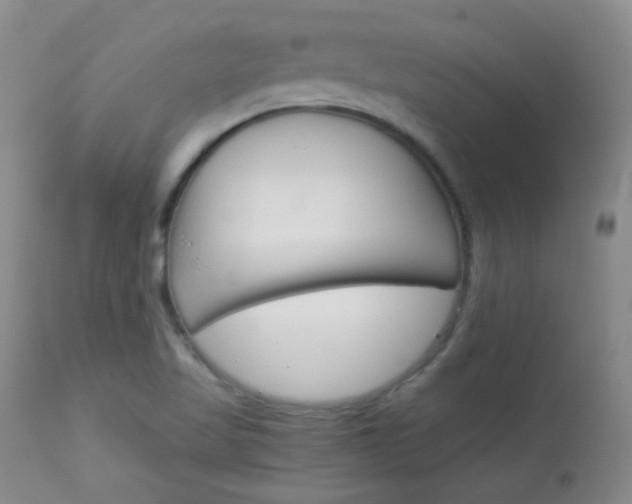 X0000114141509200910081014