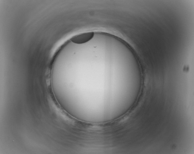 X0000114141510200910081014