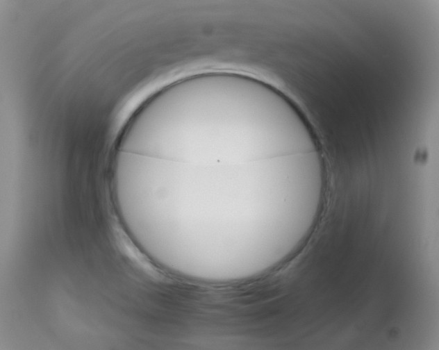 X0000114141511200910081014