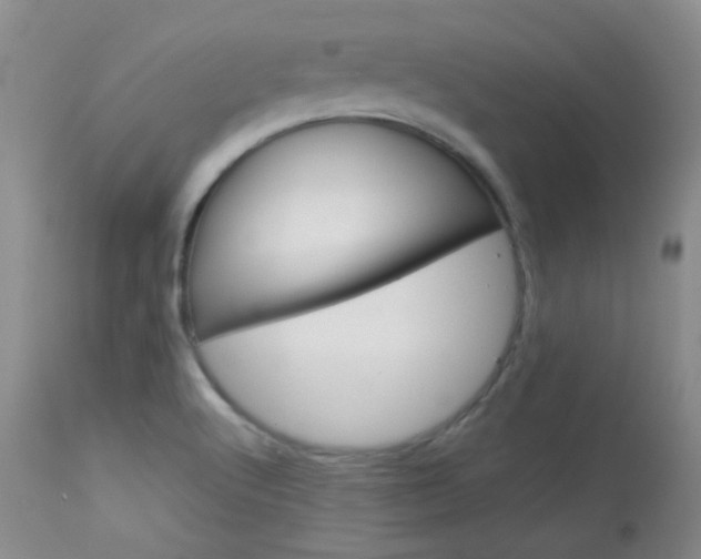 X0000114141512200910081014
