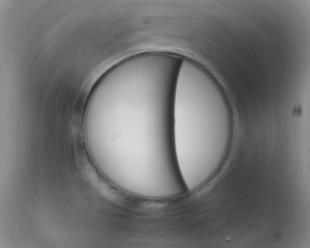 X0000114141513200910081014