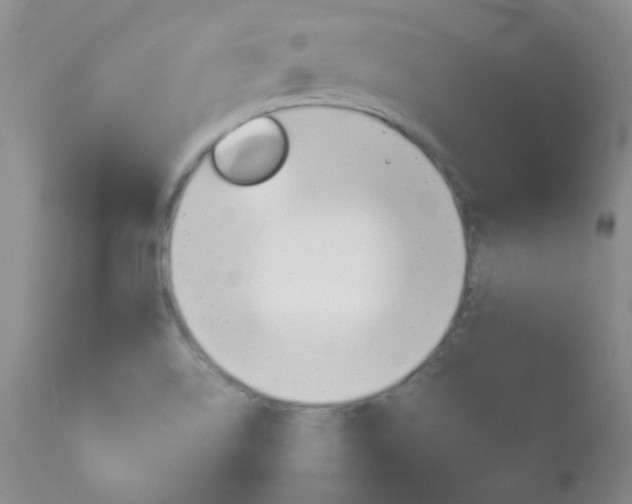 X0000114141514200910081014