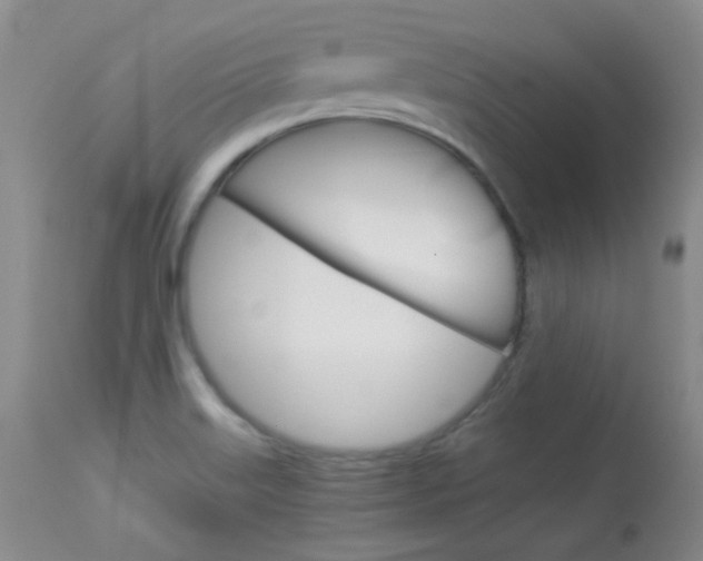 X0000114141515200910081014