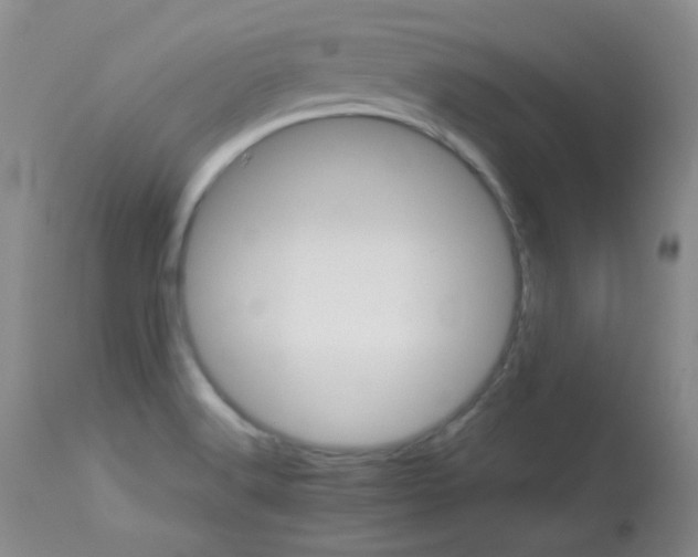 X0000114141516200910081014