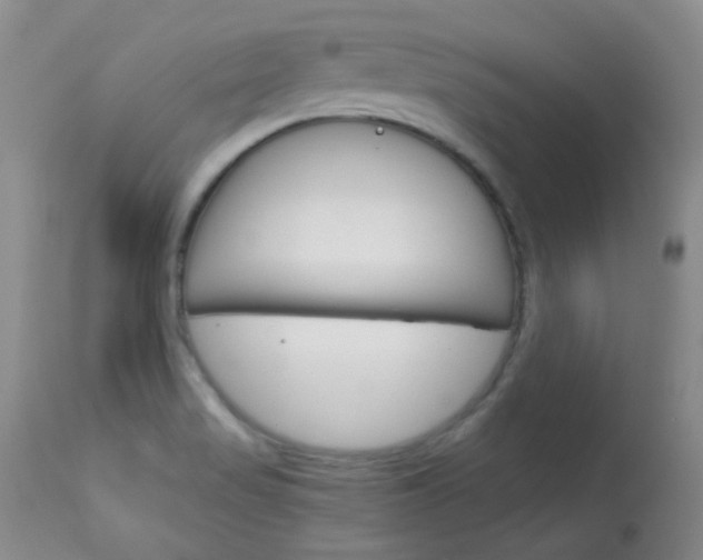 X0000114141517200910081014