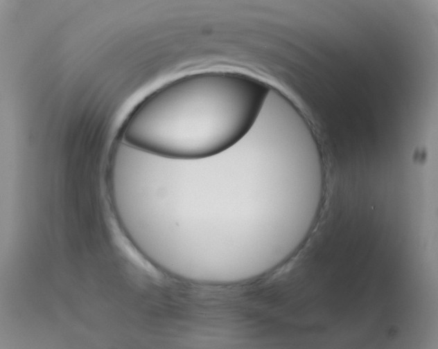 X0000114141518200910081014