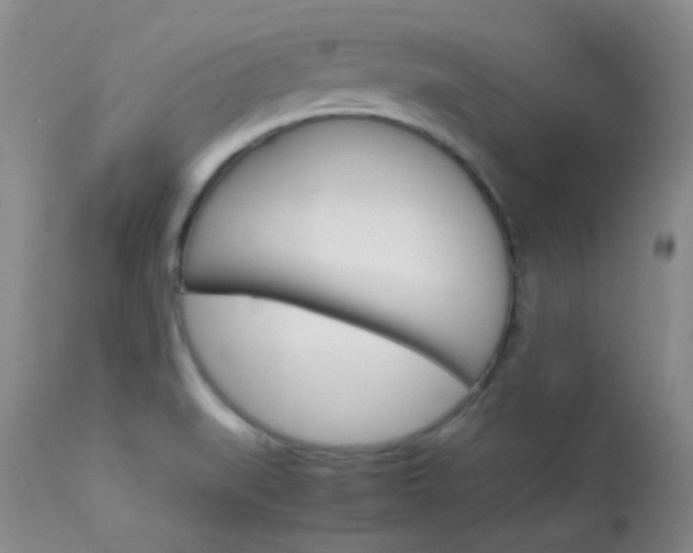 X0000114141519200910081014