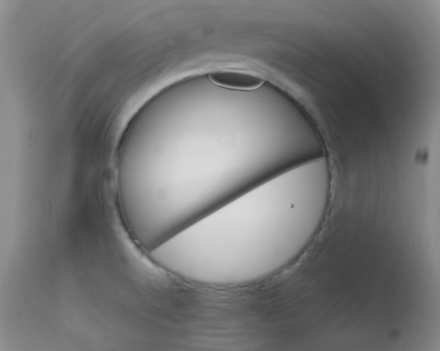 X0000114141520200910081014