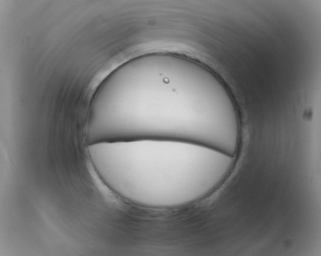 X0000114141521200910081014