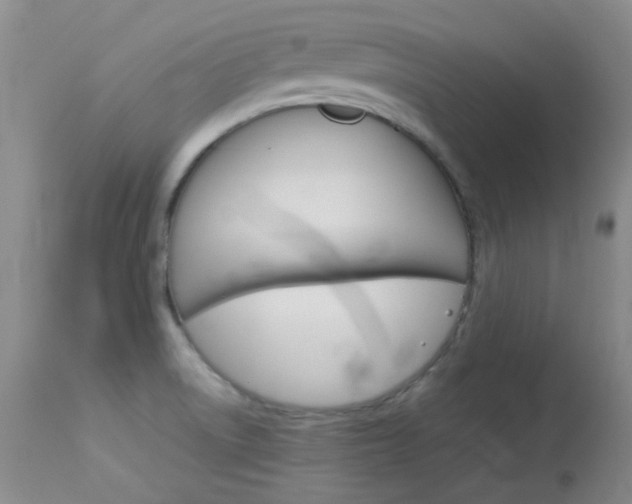 X0000114141522200910081014