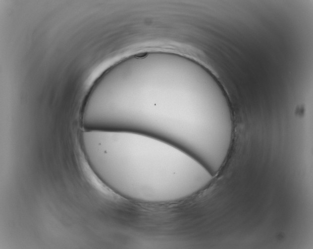 X0000114141523200910081014