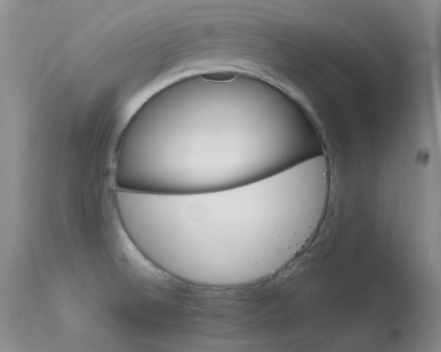 X0000114141524200910081014
