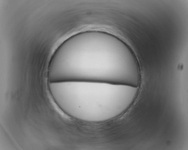 X0000114141525200910081014