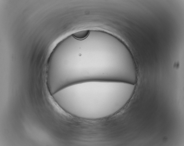 X0000114141526200910081014