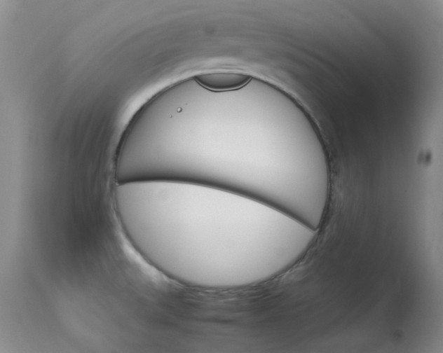 X0000114141527200910081014