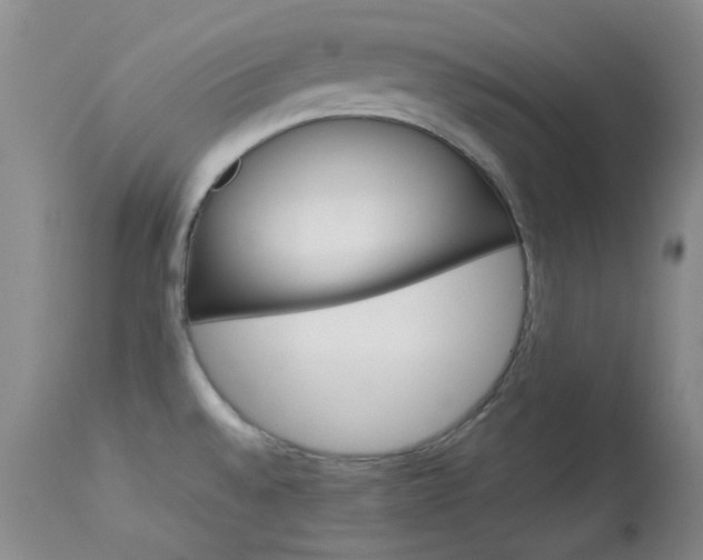 X0000114141528200910081014