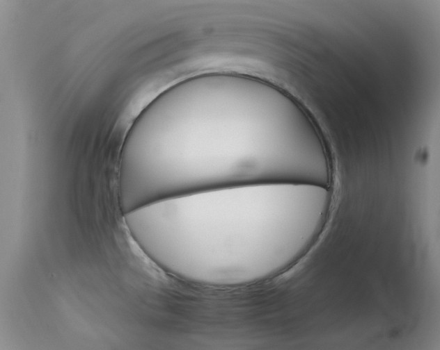 X0000114141529200910081014