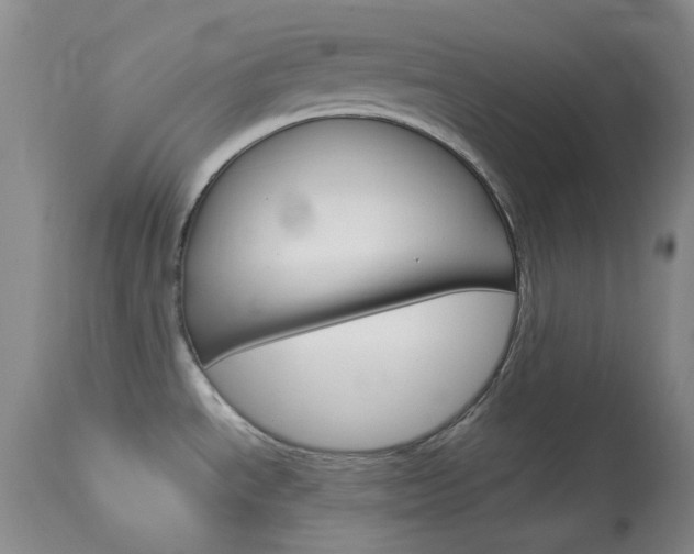 X0000114141534200910081014