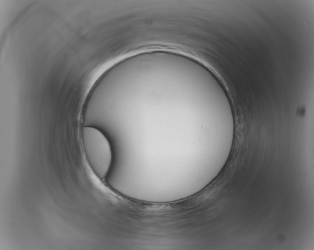 X0000114141535200910081014