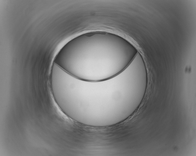X0000114141536200910081014
