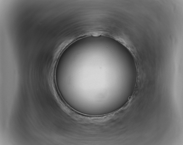 X0000114140001200910081314