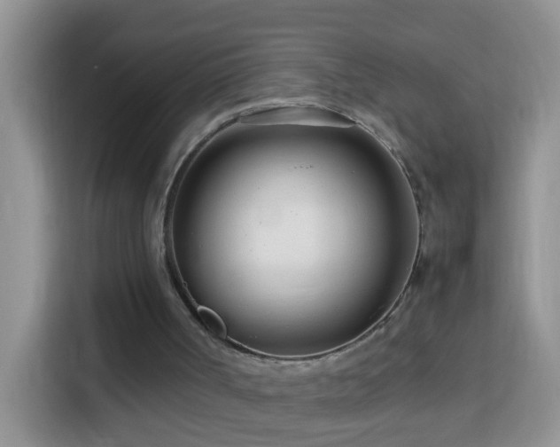 X0000114140002200910081314