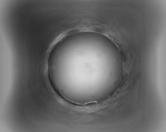 X0000114140005200910081314