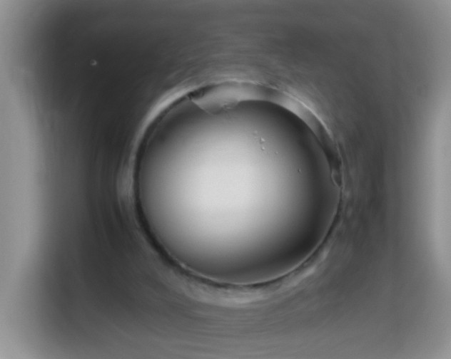 X0000114140008200910081314