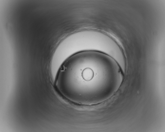 X0000114140009200910081314