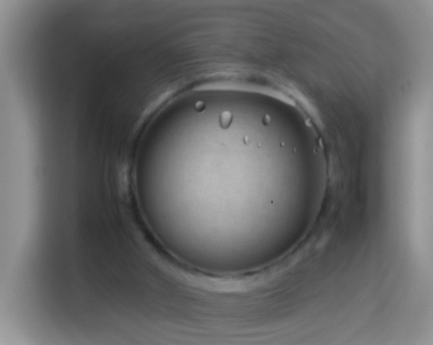 X0000114140010200910081314