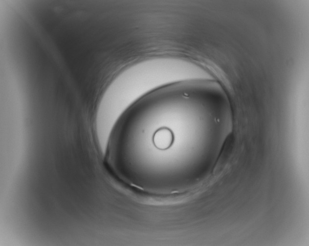 X0000114140017200910081314