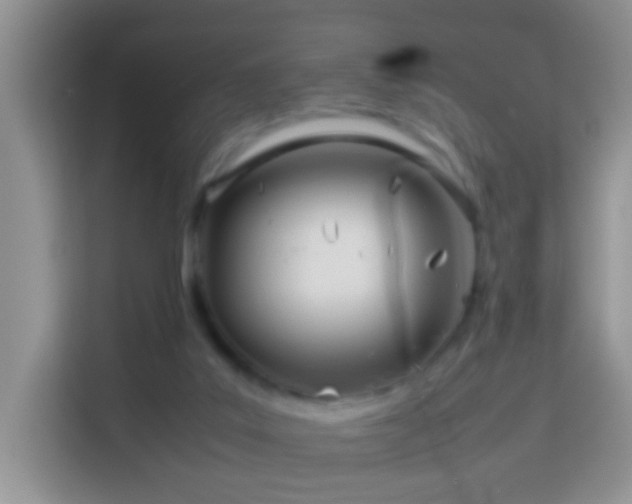 X0000114140019200910081314