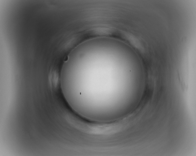 X0000114140021200910081314