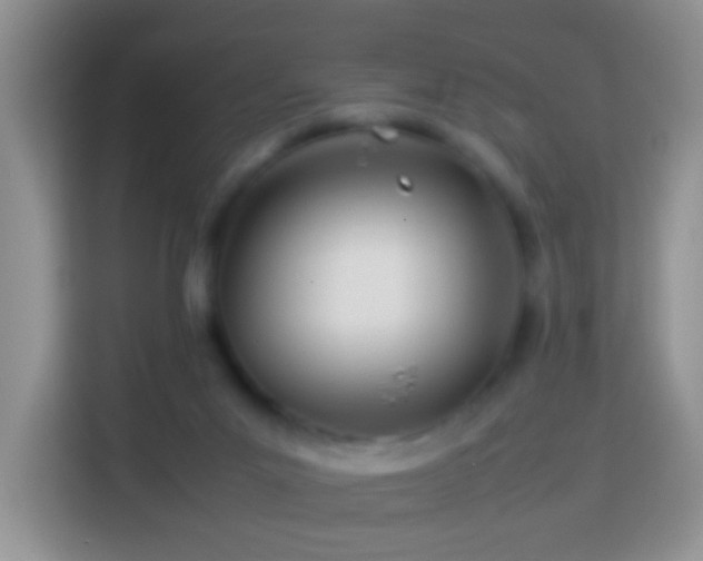 X0000114140023200910081314