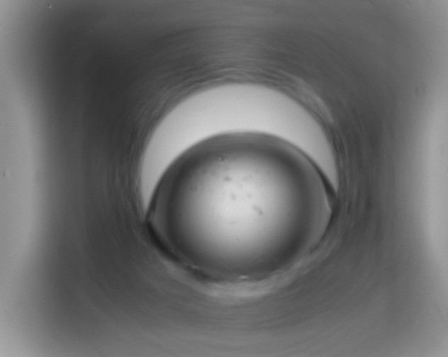 X0000114140025200910081314