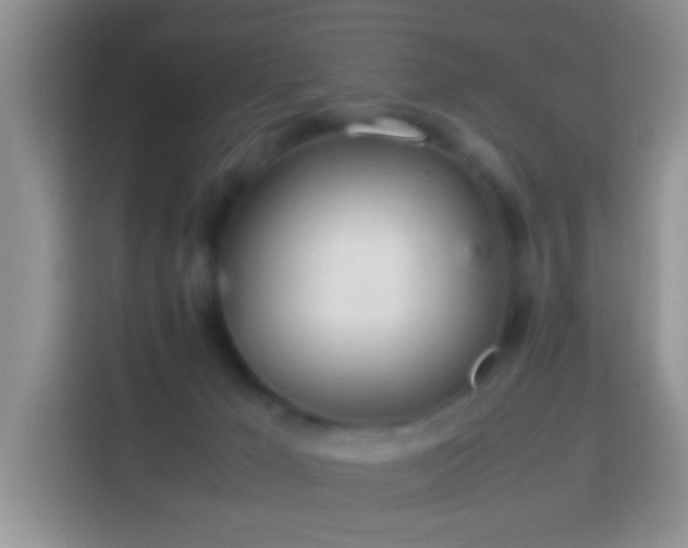 X0000114140029200910081314