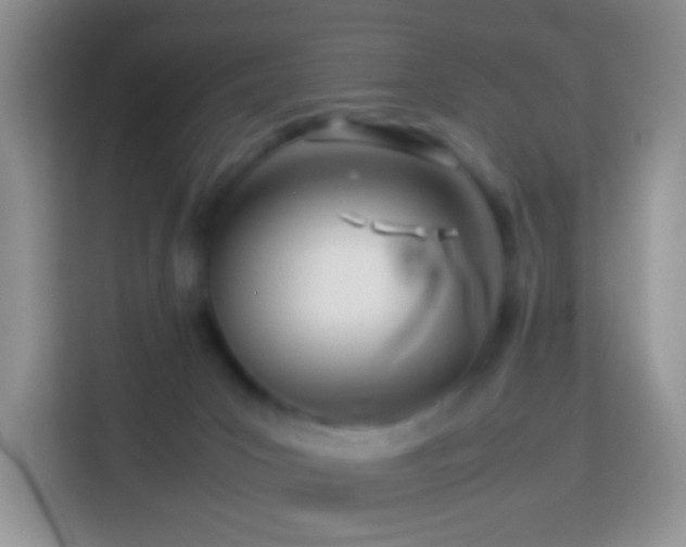 X0000114140031200910081314