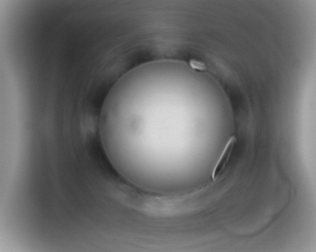 X0000114140033200910081314