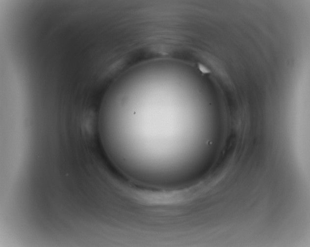 X0000114140036200910081314