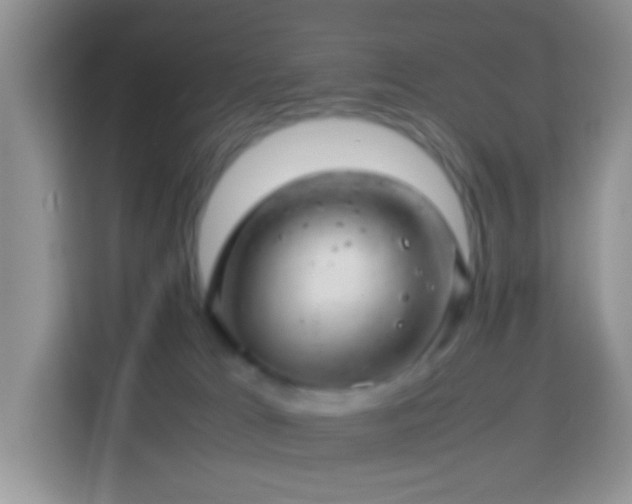 X0000114140037200910081314