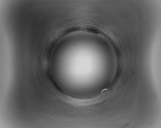 X0000114140039200910081313