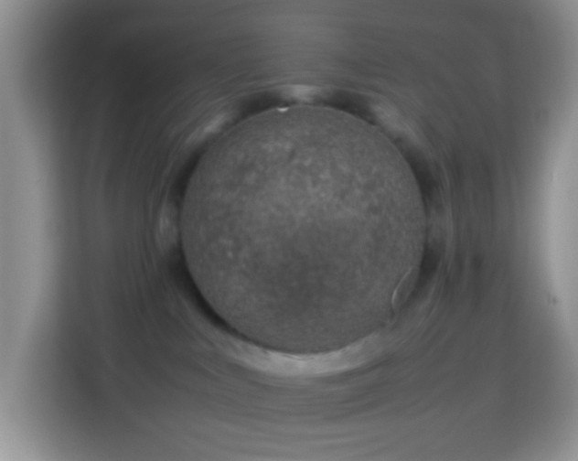 X0000114140043200910081313