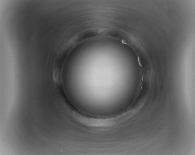 X0000114140044200910081313