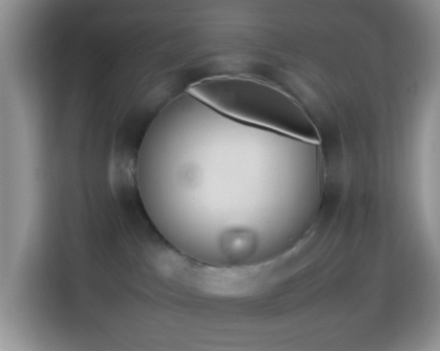 X0000114140045200910081313