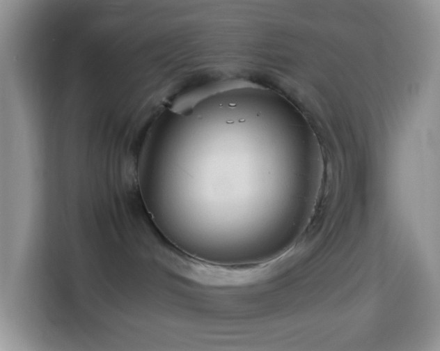 X0000114140048200910081313